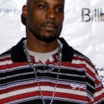 dmx net worth