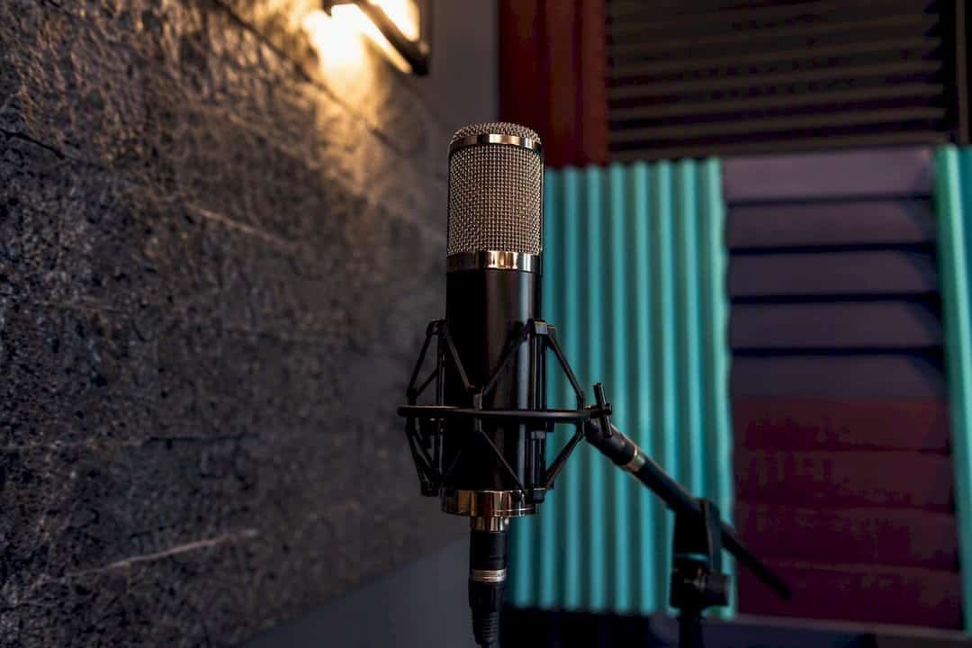 Recording studio microphone detail